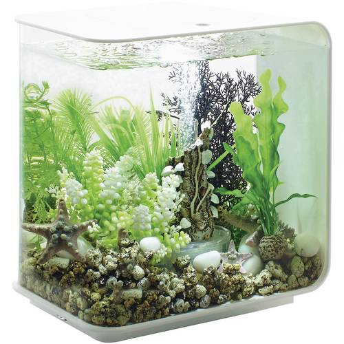 Oase 72030 biOrb FLOW 15 LED weiß Aquarium 15 l mit LED-Beleuchtung
