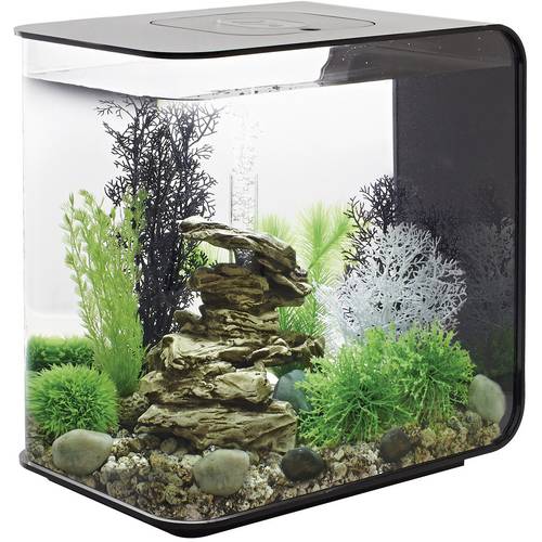Oase 72033 biOrb FLOW 30 LED schwarz Aquarium 30 l mit LED-Beleuchtung
