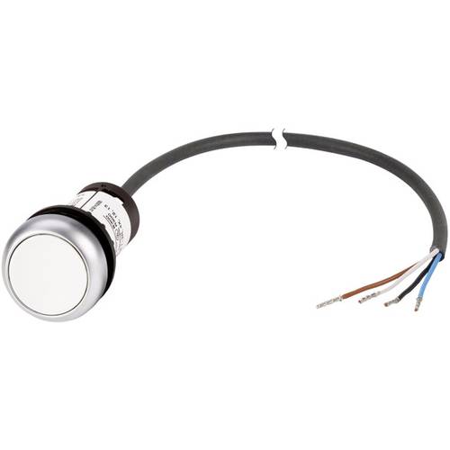 Eaton 185673 C22-D-W-K10-P62 Drucktaster flach Weiß 1 St.