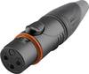 Hicon HI-X3CF-HD-B XLR-Steckverbinder Kupplung, gerade Polzahl: 3 Schwarz 1 St.