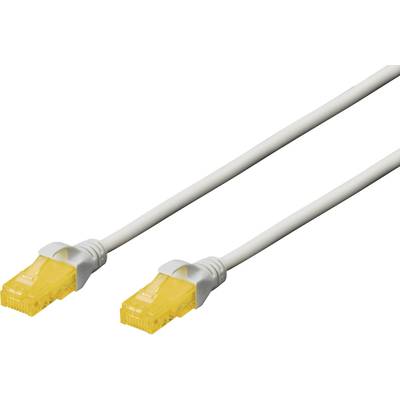 Ein gelbes Ethernet-Kabel mit zwei RJ45-Steckern zur Netzwerkverbindung.