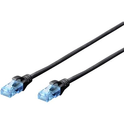 Ein schwarzes Ethernet-Kabel mit blauen Steckern an beiden Enden, bereit zur Vernetzung von Geräten.