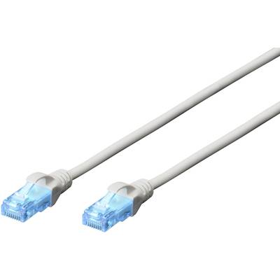 Ein weißes Ethernet-Kabel mit blauen Steckern an beiden Enden, für Internetverbindung oder Netzwerkanschluss geeignet.