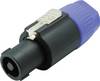 Kash 56526 Lautsprecher-Steckverbinder Stecker, gerade Polzahl: 4 Schwarz, Blau 1 St.