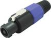 Kash 55200 Lautsprecher-Steckverbinder Stecker, gerade Polzahl: 4 Schwarz, Blau 1 St.
