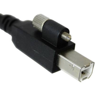Nahaufnahme eines FireWire-Kabels mit rechteckigem Stecker und Metallverschluss.