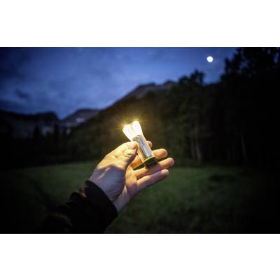 Eine Hand hält eine leuchtende Glühbirne in einer natürlichen Umgebung bei Dämmerung. Im Hintergrund sind unscharfe Bäume und ein Hügel sichtbar.