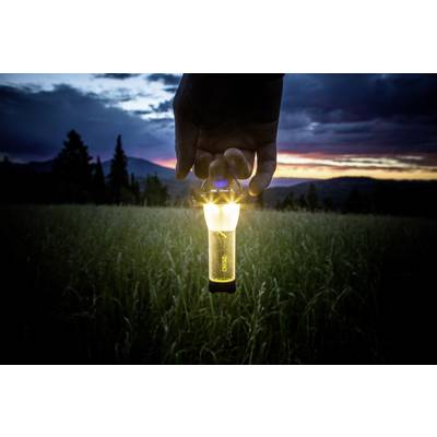 Eine Hand hält eine leuchtende Glühbirne über einem Feld bei Sonnenuntergang.