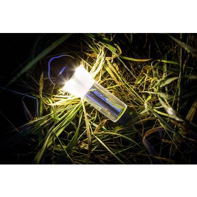 Eine leuchtende Taschenlampe liegt im Gras. Sie strahlt hell in der Dunkelheit und beleuchtet die umgebenden Blätter.