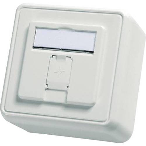 Telegärtner Netzwerkdose Aufputz Unbestückt 1 Port Alpinweiß