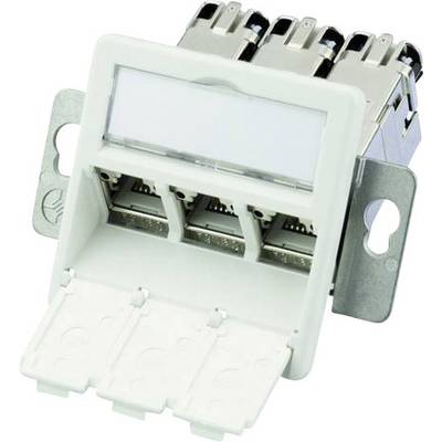 Erweiterbare Netzwerkdose mit vier RJ45-Ports, geeignet für strukturierte Verkabelung in Büroumgebungen.