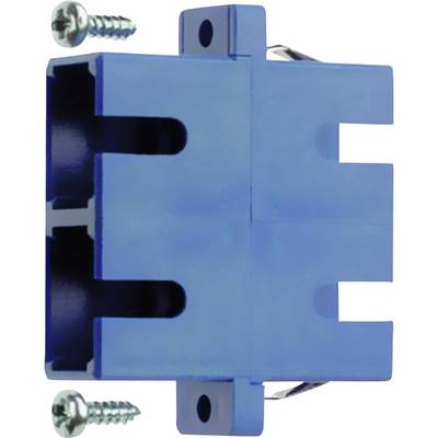 Ein blaues elektrisches Anschlussmodul mit zwei Schrauben zur Befestigung, vermutlich zur Installation in einem elektrischen System.