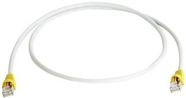 Telegärtner RJ45 (gekreuzt) Netzwerk Anschlusskabel CAT 6a S/FTP 0.50 m Grau doppelt geschirmt, mit Rastnasenschutz