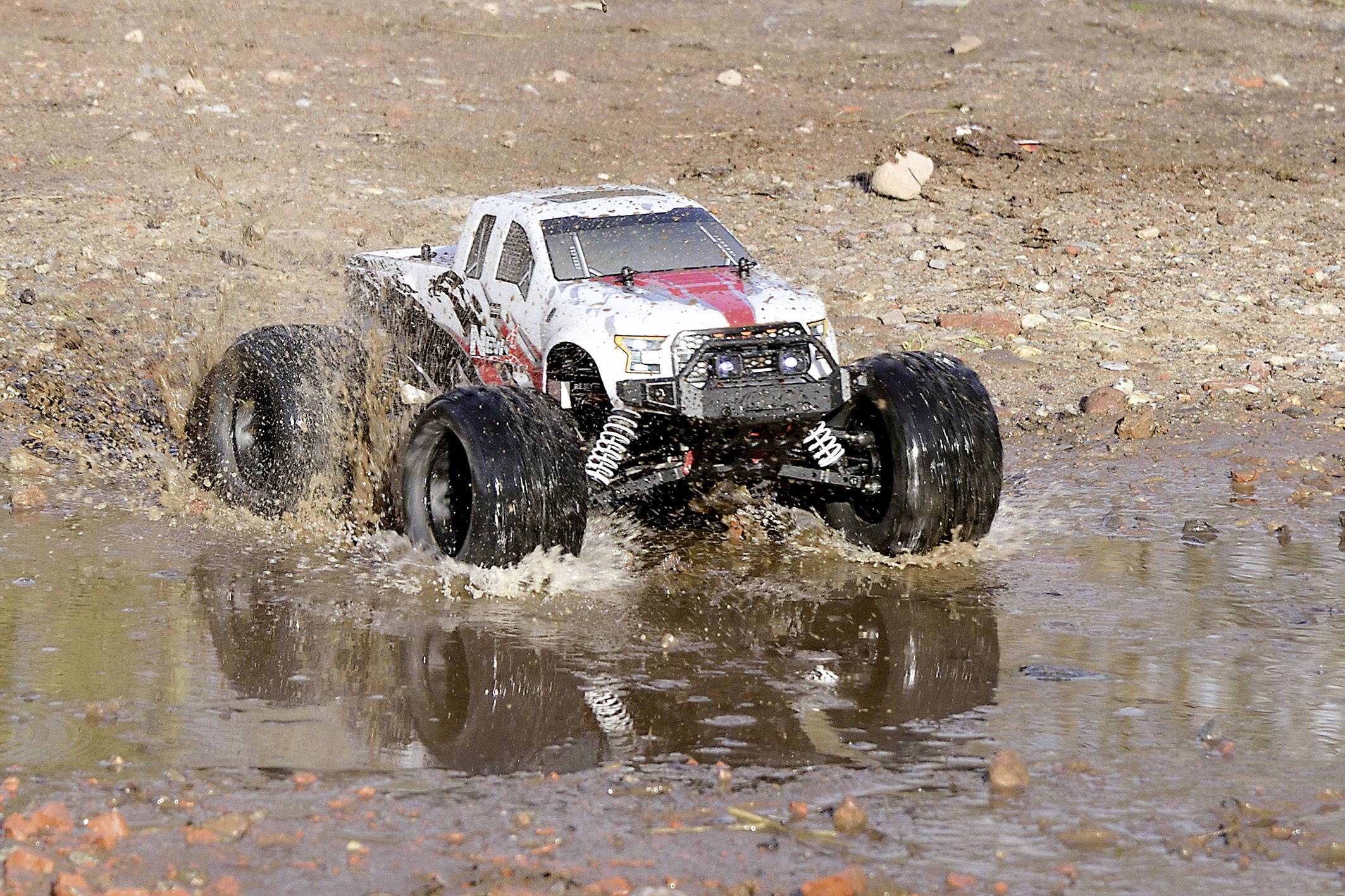 Reely NEW1 Brushless 1:10 RC Modellauto Elektro Monstertruck Allradantrieb (4WD) 100% RtR 2,4 GHz inkl. Akku, Ladegerät -4