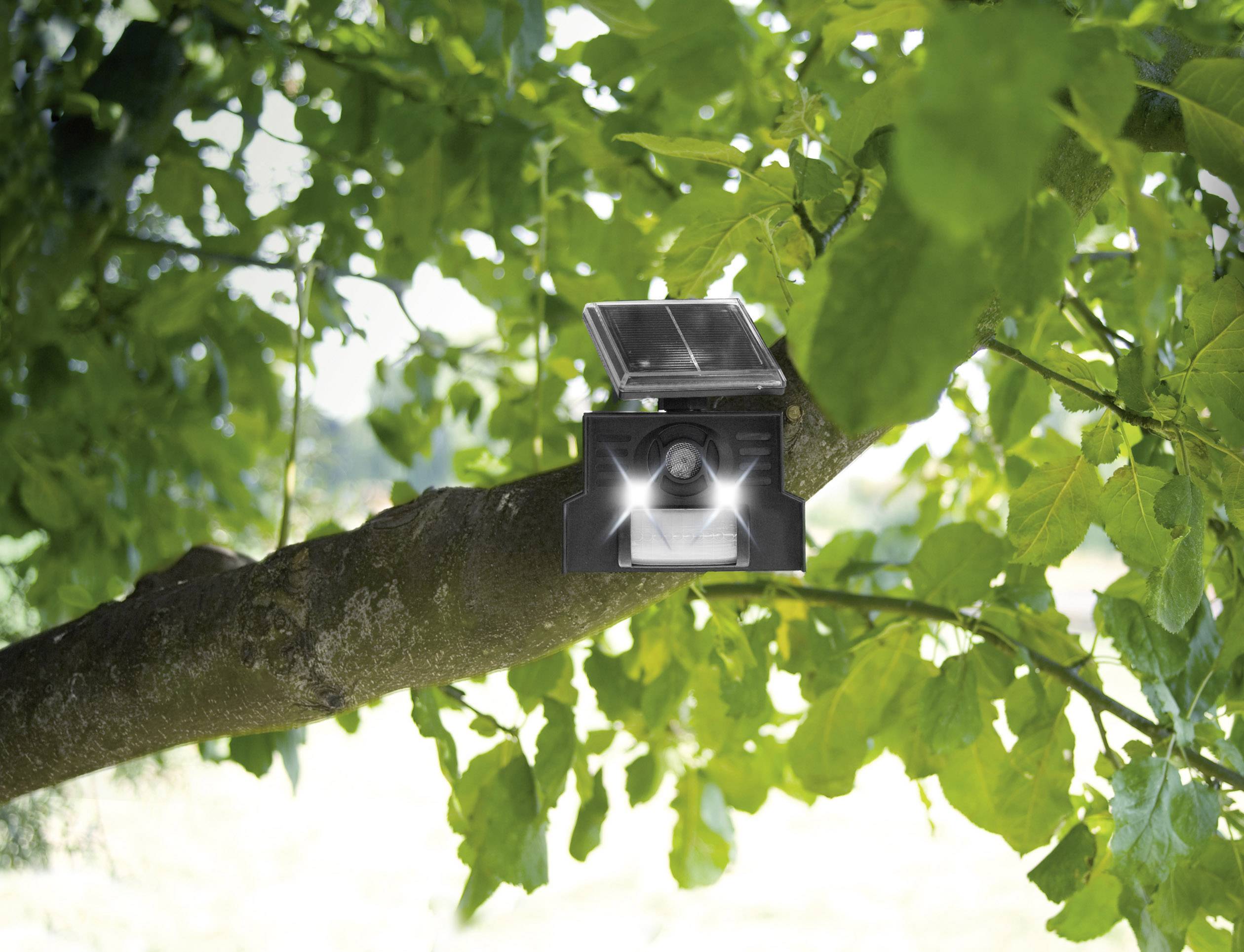 Gardigo Solar Repeller Vogelvertreiber Funktionsart Multifrequenz, LED-Licht 1 St.-3