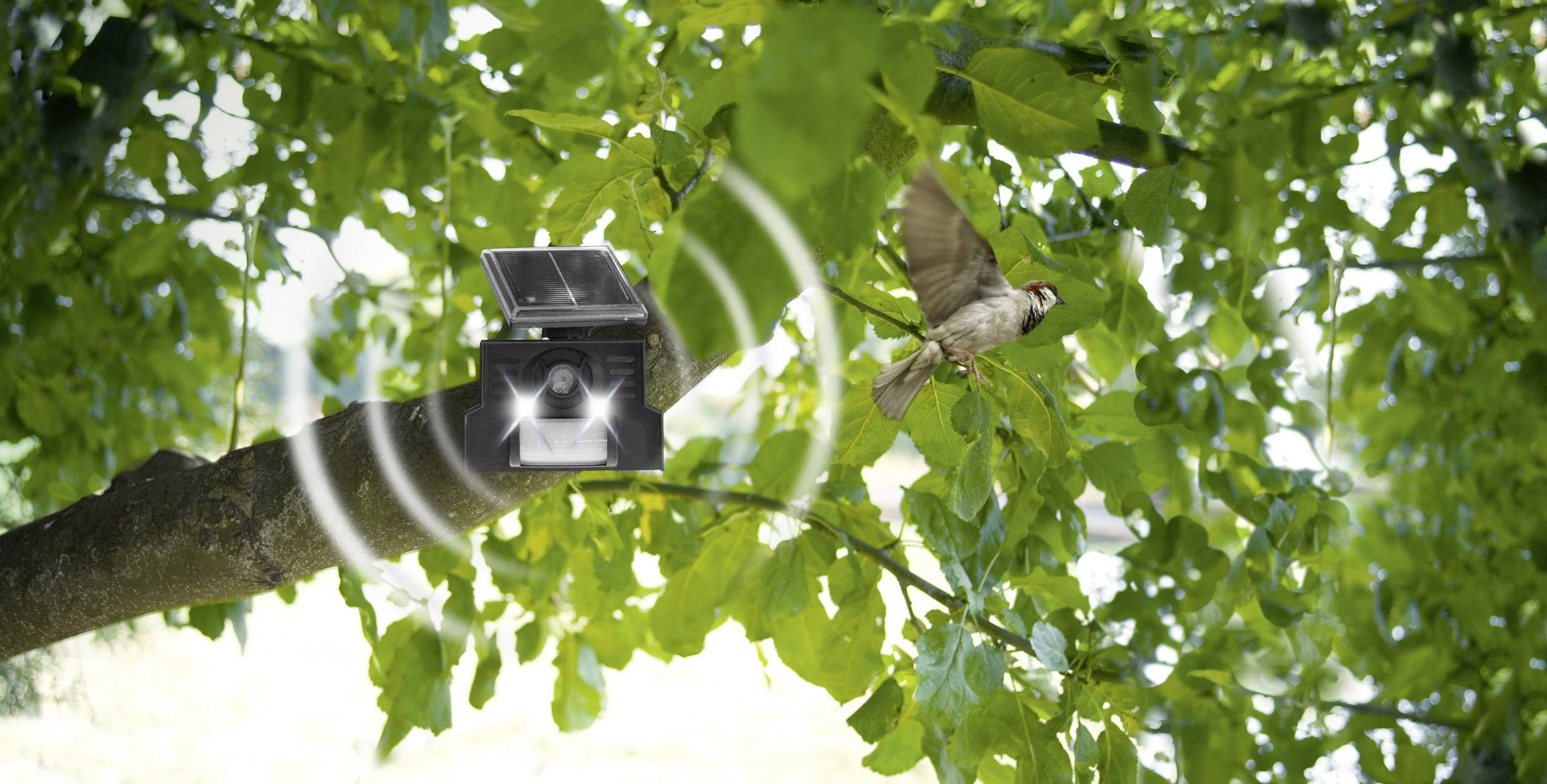 Gardigo Solar Repeller Vogelvertreiber Funktionsart Multifrequenz, LED-Licht 1 St.-5