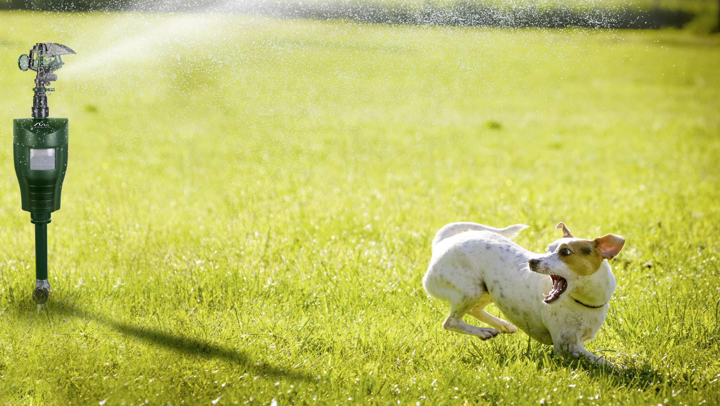 Gardigo Water PIR Schädlingsvertreiber Funktionsart Wasserstrahl Wirkungsbereich 60 m² 1 St.-4