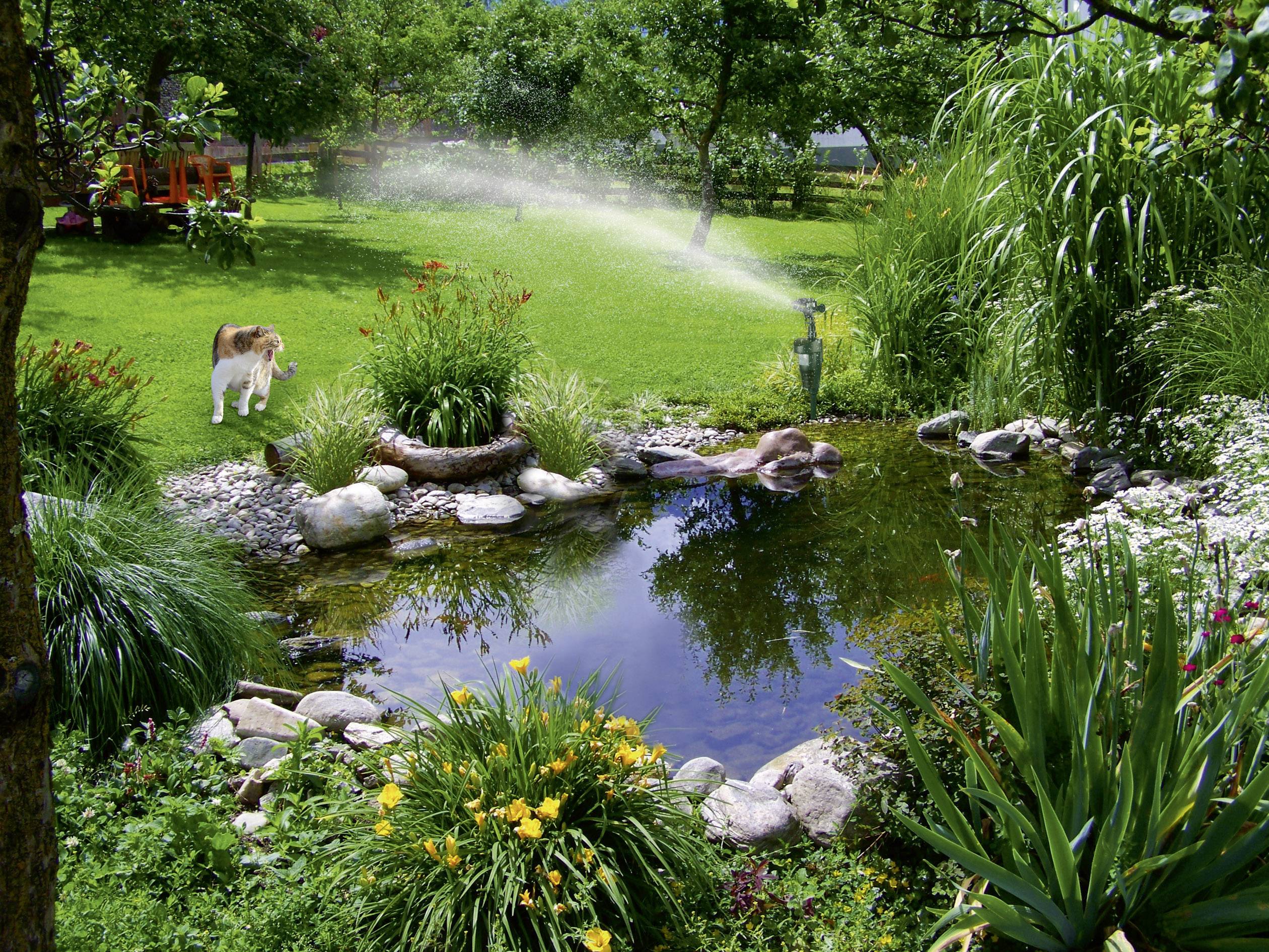 Gardigo Water PIR Schädlingsvertreiber Funktionsart Wasserstrahl Wirkungsbereich 60 m² 1 St.-5