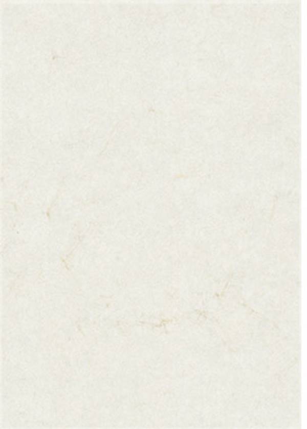 Zanders Elefantenhaut 88001576 DIN A4 weiß 100 Bl./Pack.