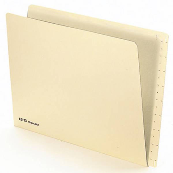 LEITZ Einstellmappe Orgacolor, A4, mit Tab, chamois (80243211)