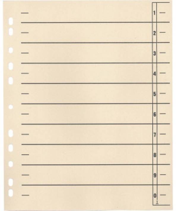 Soennecken Trennblatt 121009220 1554377 DIN A4 190 g/m² 100 St.