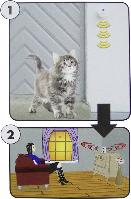 'Bild 1 zeigt eine Katze vor einer grauen Tür mit Sensorwellen. Bild 2 zeigt eine Frau auf einem Sessel, die zum Tisch mit Alarm schaut.'