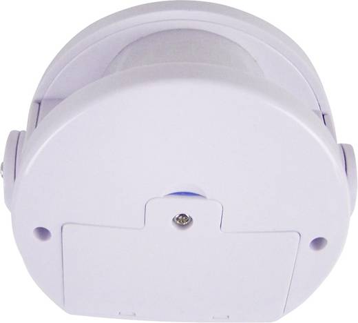 Cat Doorbell Reviews Cat Doorbell Reviews
