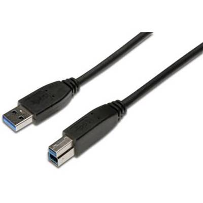 'Zwei USB-Kabel: links ein USB-A-Stecker, rechts ein USB-B-Stecker. Beide sind schwarz und für Datenübertragung geeignet.'