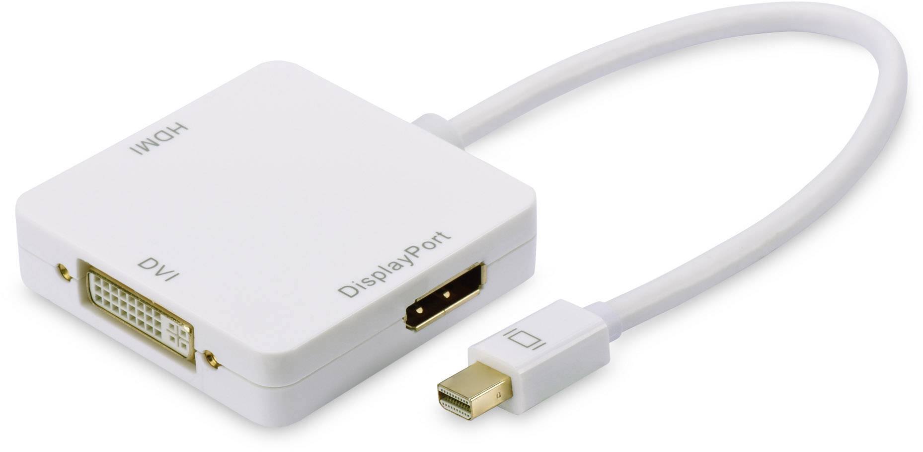 ednet DVI DisplayPort HDMI Mini DisplayPort Adapter [1x Mini DisplayPort Stecker 1x DVI Buchse 24+1pol., Display ednet DVI DisplayPort HDMI Mini DisplayPort Adapter [1x Mini DisplayPort Stecker 1x DVI Buchse 24+1pol., Display
