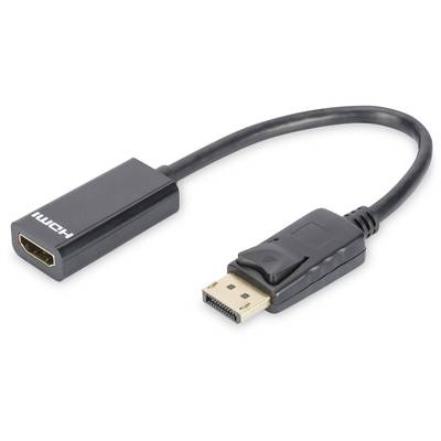 Ein schwarzes Adapterkabel mit HDMI-Anschluss auf der einen Seite und DisplayPort-Anschluss auf der anderen Seite.