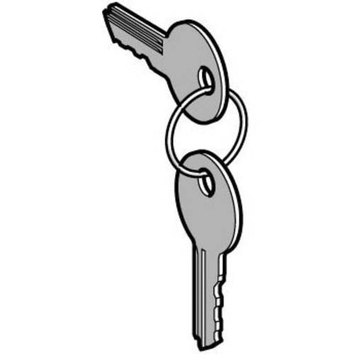 Schneider Electric ZBG455 ZBG455 1 St.