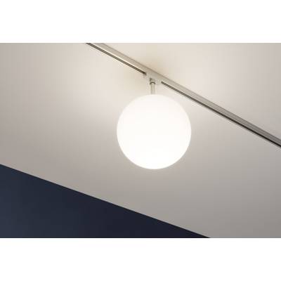 Paulmann Globe Small Hochvolt-Schienensystem-Leuchte URail E14 10 W LED  Chrom (matt) kaufen | Deckenlampen