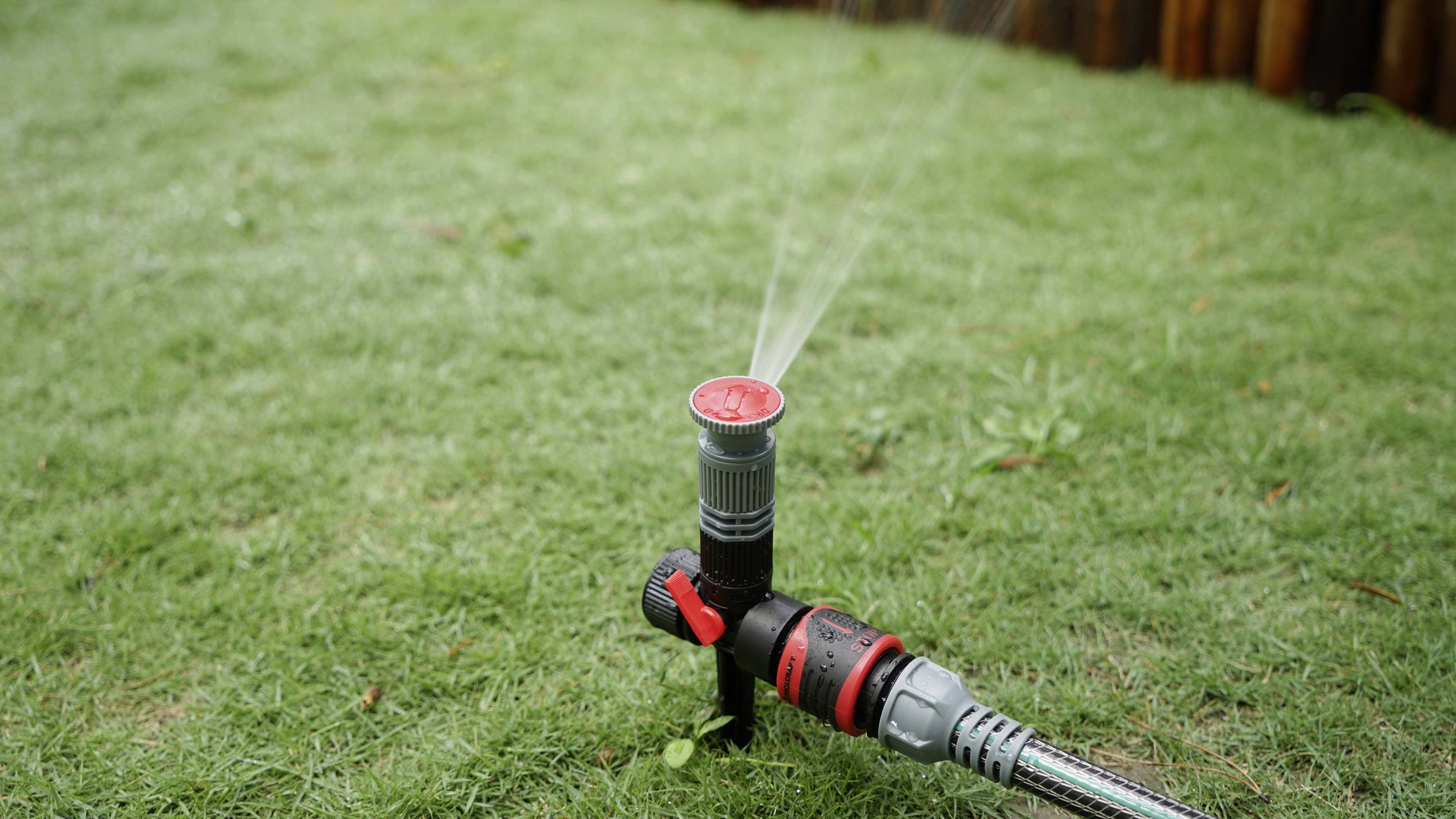 Ein Gartensprinkler bewässert einen grünen Rasen.