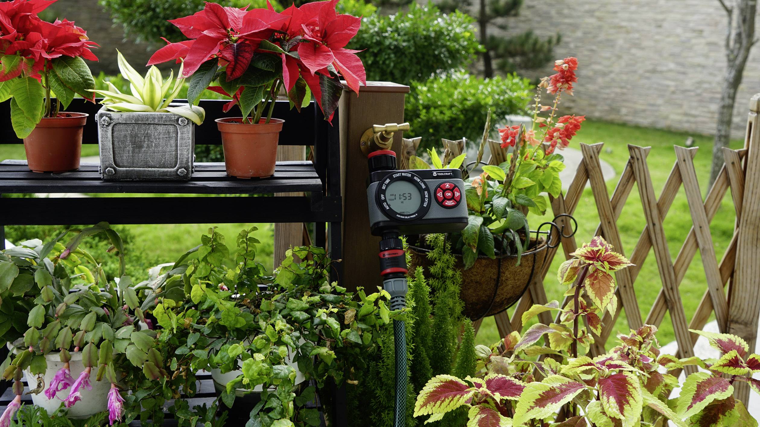 Eine Gartenszene mit roten Poinsettien, verschiedenen Pflanzen und einem Bewässerungstimer an einem Wasserhahn. Im Hintergrund ist ein grüner Garten zu sehen.