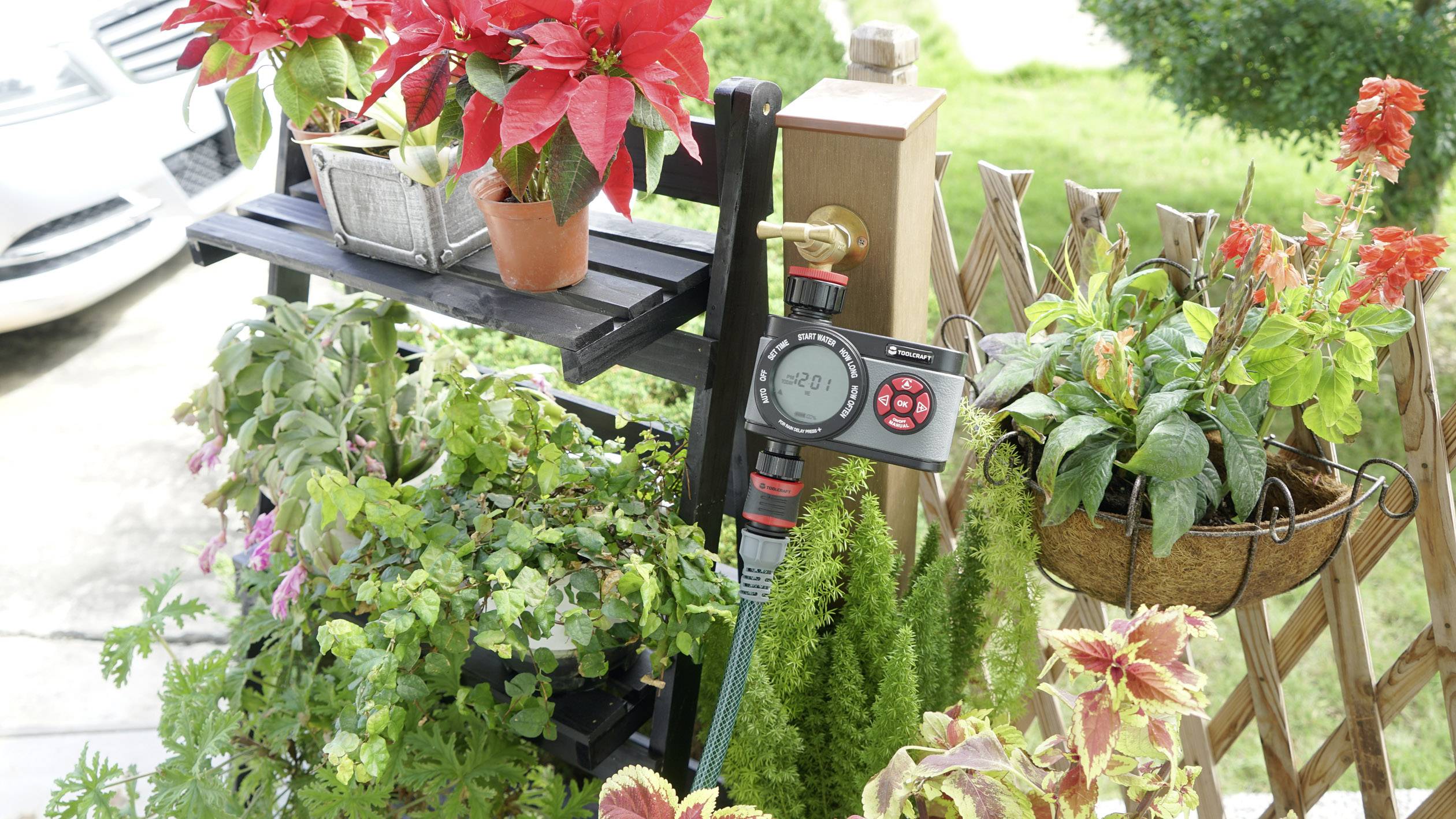 Automatisches Bewässerungssystem in einem Garten, umgeben von Pflanzen wie Weihnachtssternen und anderen Topfpflanzen.