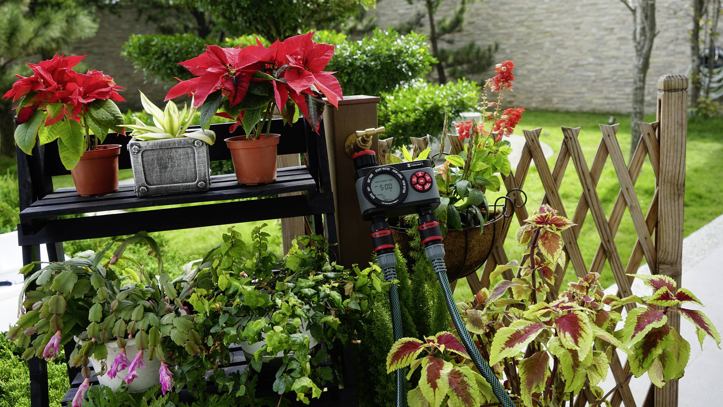 Ein Balkon voller Blumen, darunter Weihnachtssterne und Coleus, mit einem Bewässerungssystem, vor einer grünen Hintergrundlandschaft.