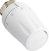 Danfoss RTW 013G6500