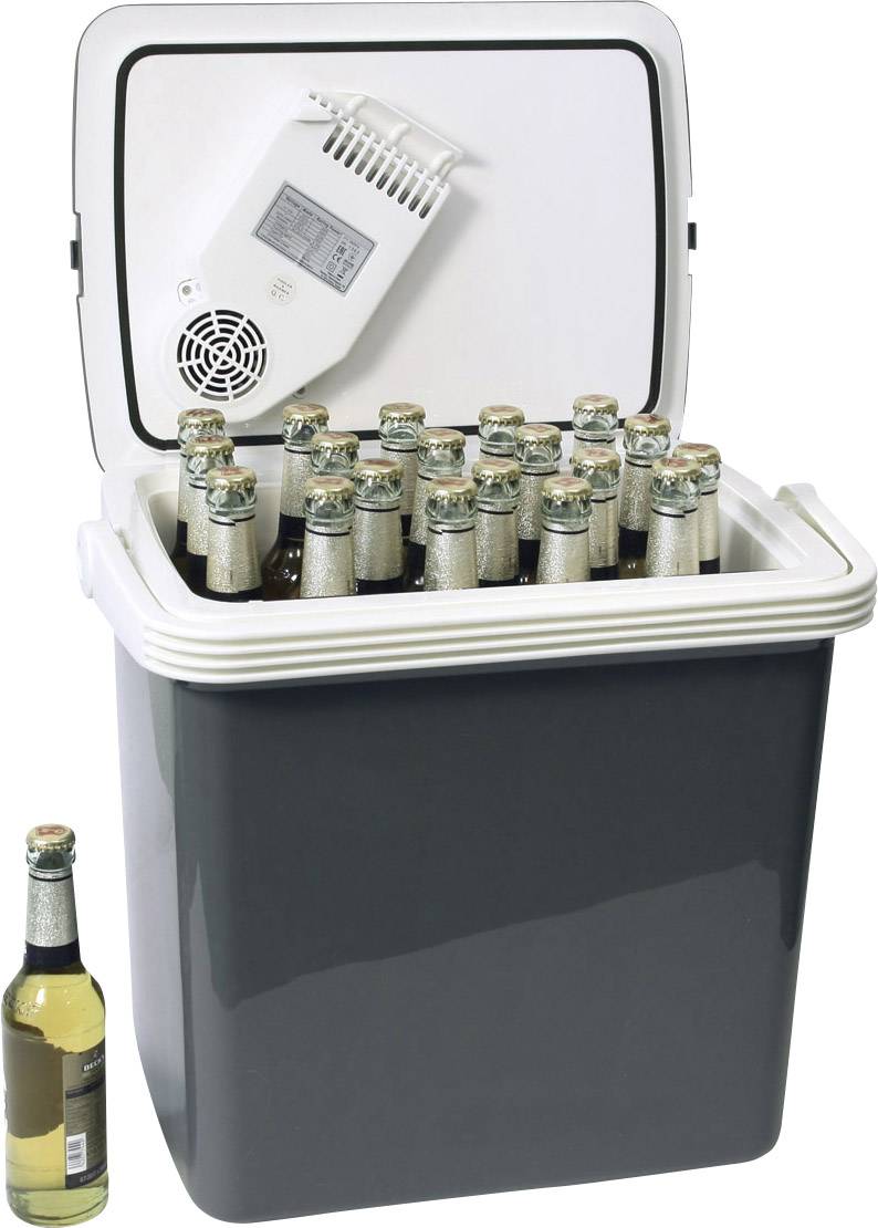 Eine geöffnete Kühlbox voller gekühlter Bierflaschen. Eine Flasche steht daneben.