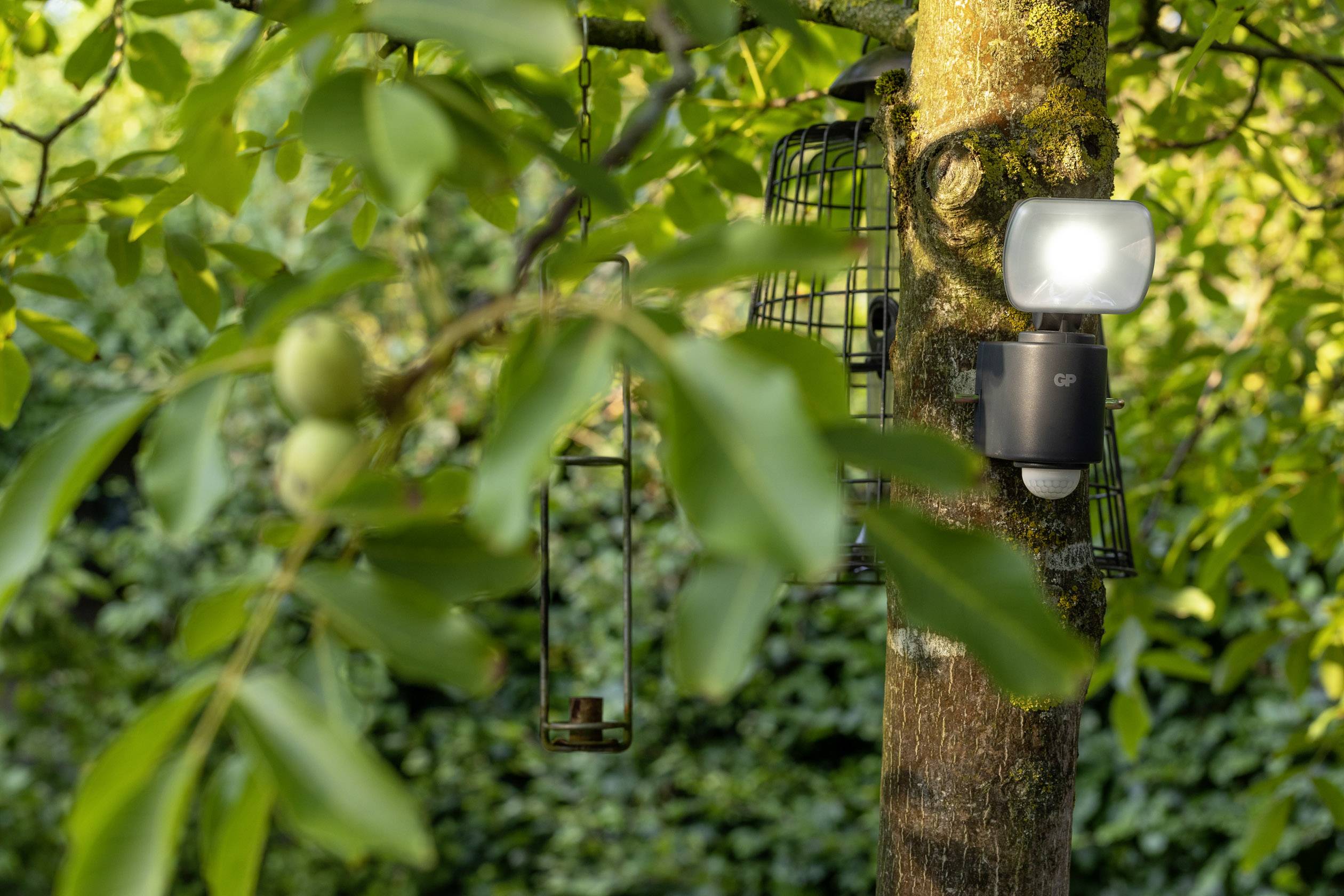 Ein Baum mit Vogelhäuschen und einer montierten Außenlampe. Umgeben von grünem Laub in einer natürlichen Gartenumgebung.