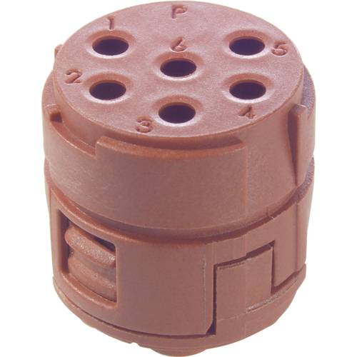 EPIC® SIGNAL M23 Einsätze, 6 polig 73002761 73002761 LAPP Inhalt: 20 St. 73002761 73002761 LAPP Inhalt: 20 St.