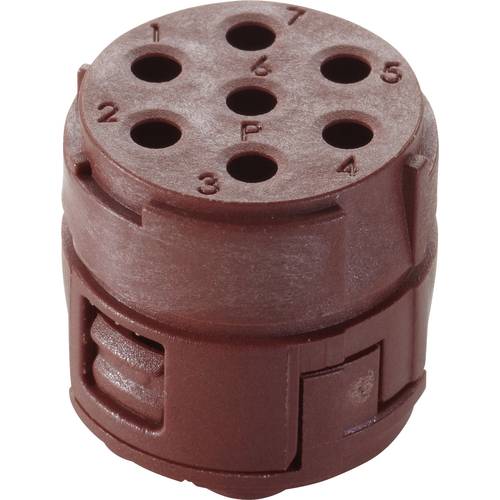 EPIC® SIGNAL M23 P Einsätze, 7-polig 44420148 Lapp Zubehör LAPP Inhalt: 5 St.