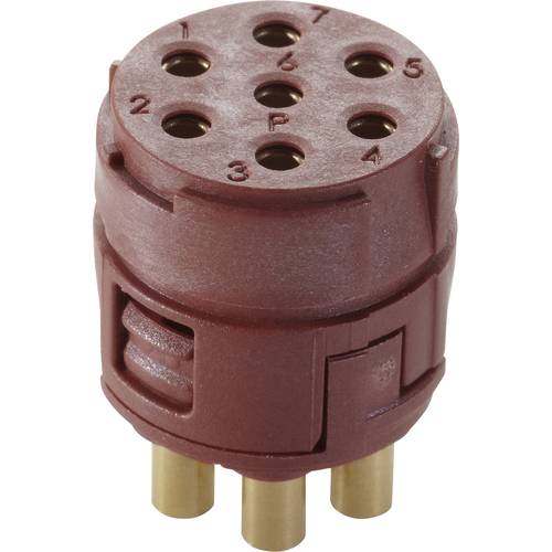EPIC® SIGNAL M23 P Einsätze, 7-polig 44420153 Lapp Zubehör LAPP Inhalt: 20 St.