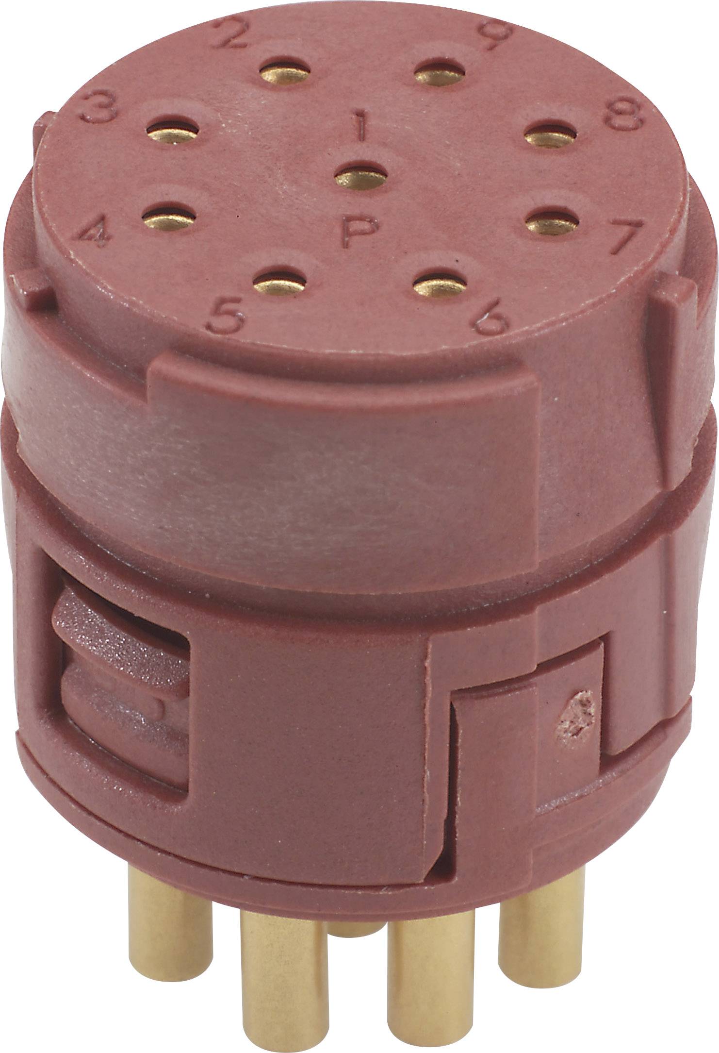 EPIC® SIGNAL M23 P Einsätze, 9 polig 73002729 73002729 LAPP Inhalt: 20 St. 73002729 73002729 LAPP Inhalt: 20 St.