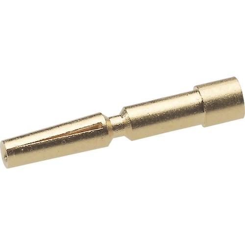 EPIC® SIGNAL M23 Buchsenkontakt 1 mm 74200600 Lapp Zubehör LAPP Inhalt: 100 St.