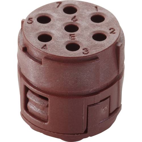 EPIC® SIGNAL M23 E Einsätze, 7-polig 44420154 Lapp Zubehör LAPP Inhalt: 5 St.