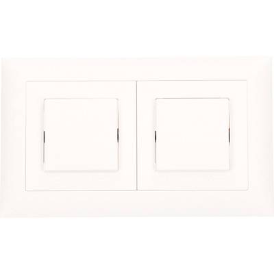 Zwei weiße Lichtschalter nebeneinander in einer Wandplatte im klassischen Design.