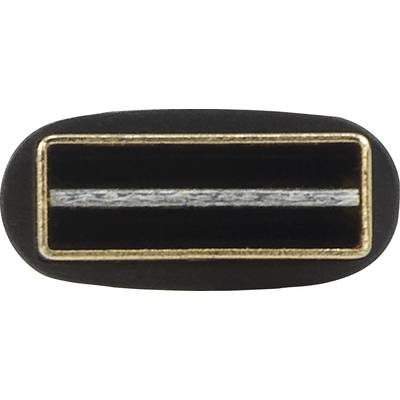 'Nahaufnahme eines USB-C-Anschlusses mit ovaler Form und goldenen Kanten.'