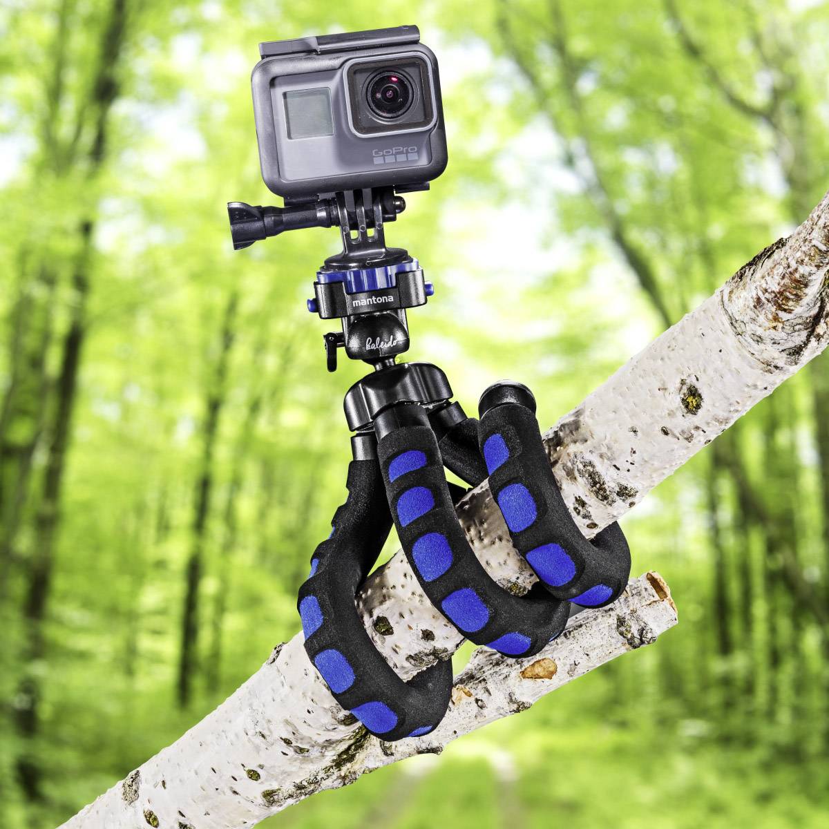 Eine Action-Kamera auf einem flexiblen Stativ ist um einen Ast gewickelt, mit verschwommenem, grünem Wald im Hintergrund.