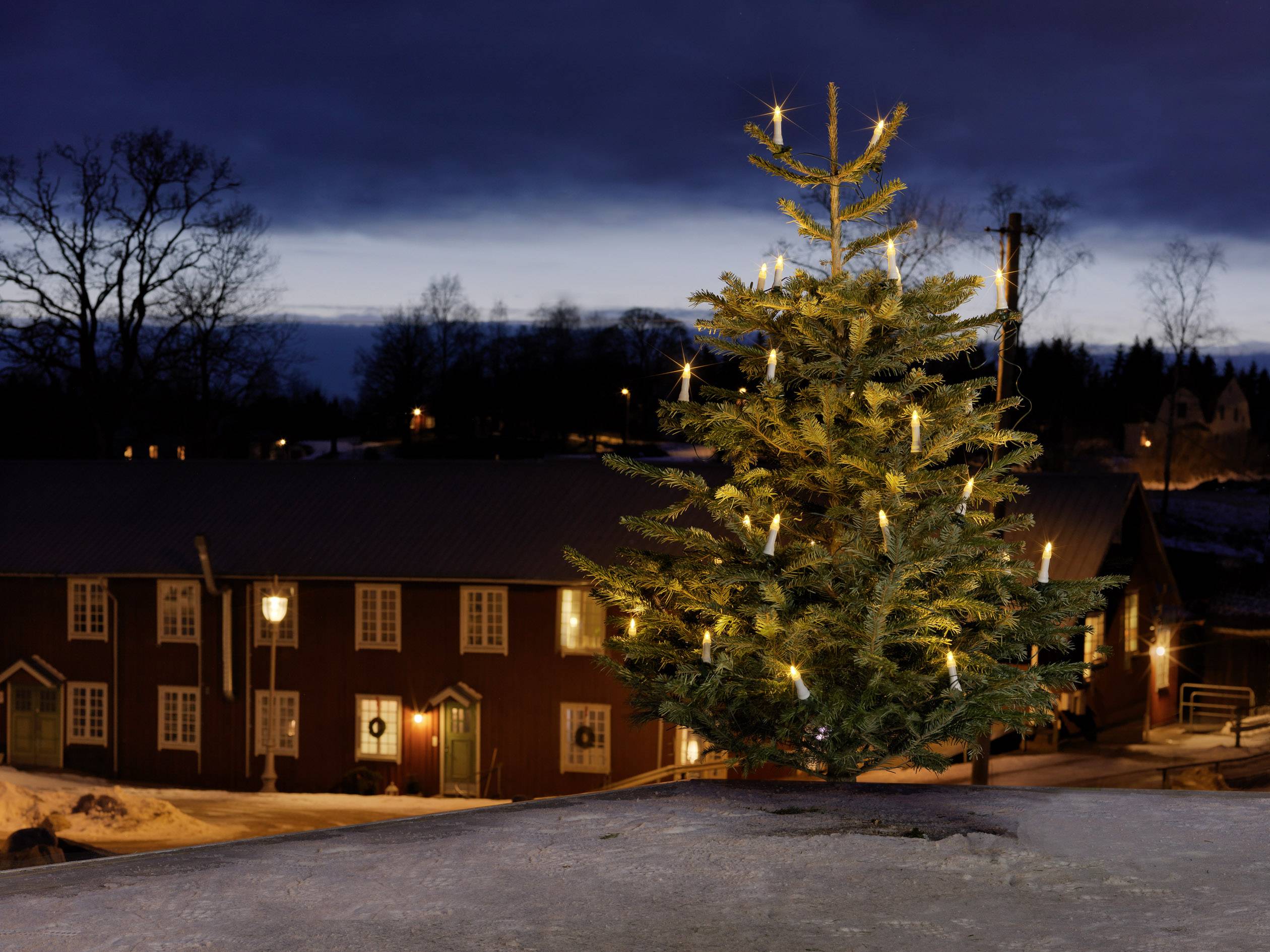 Lichterketten für den Weihnachtsbaum