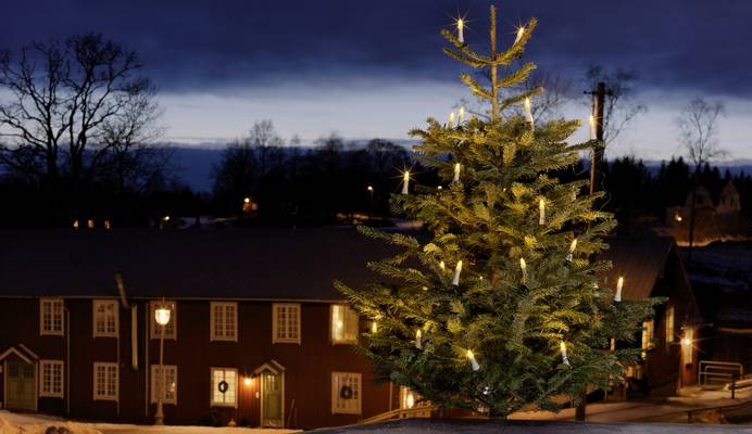 Lichterketten für den Weihnachtsbaum